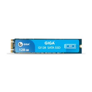 اس اس دی اینترنال گیگا مدل M.2 ظرفیت 128مگابایت Giga 128 SSD M.2
