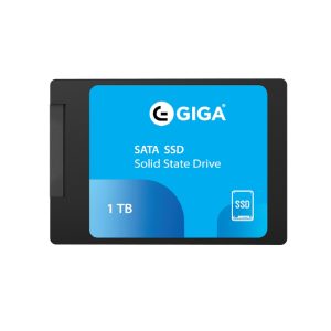 حافظه اس اس دی گیگا مدل Giga 1TB SSD Drive