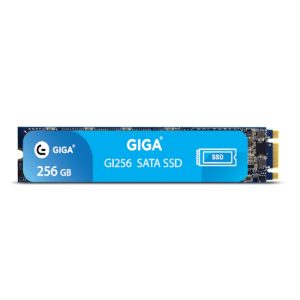 اس اس دی اینترنال گیگا مدل M.2 ظرفیت 256مگابایت Giga 256 SSD M.2